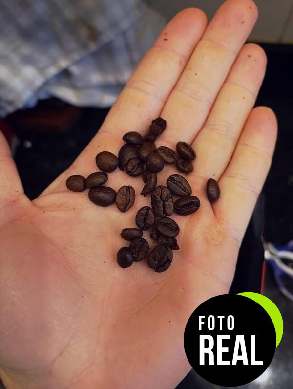 cafe-fortaleza-grano-natural-arabica-1000g-foto-2