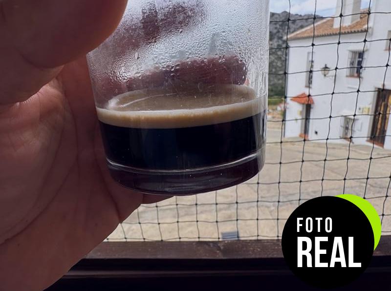 cafe-intenso-nespresso-100u-foto-2