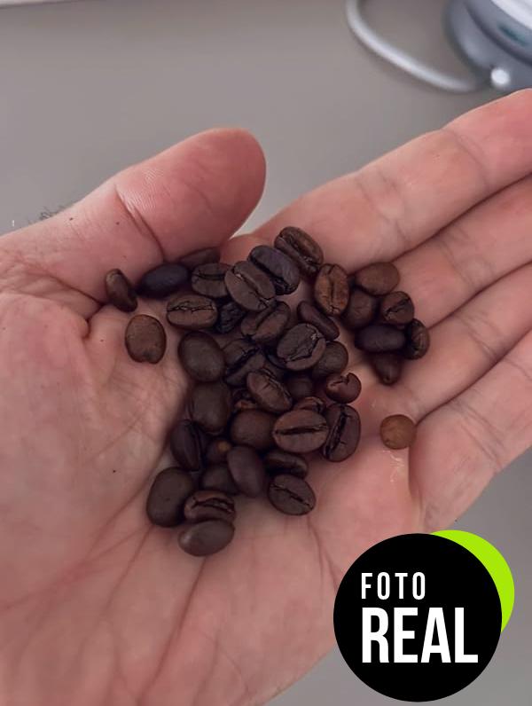 der-franz-crema-cafe-granos-4kg-foto-2