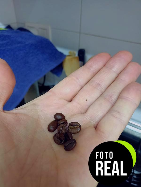 der-franz-crema-cafe-granos-4kg-foto-3