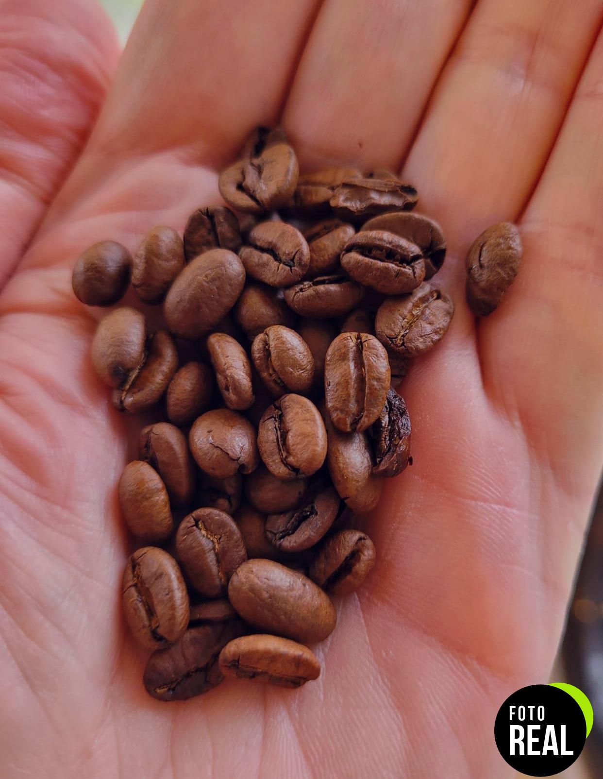 novell-cafe-arabico-grano-100-1kg-foto-1